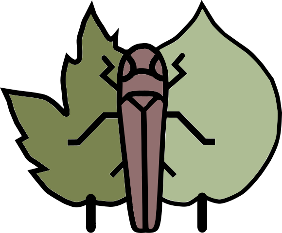 logo color 1 logo color 1