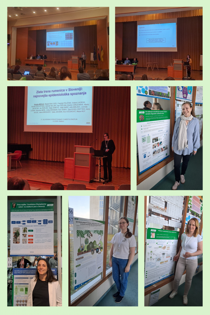 izdelek brez naslova(1) izdelek brez naslova(1)